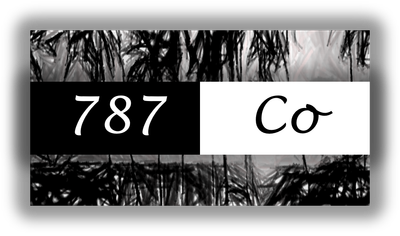 787 Co 