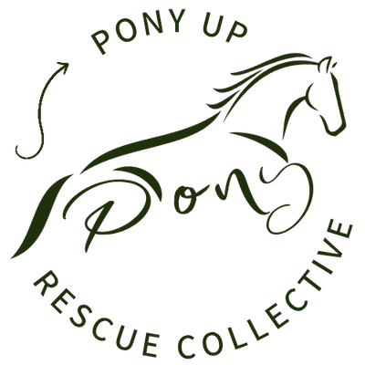 Pony Up RC