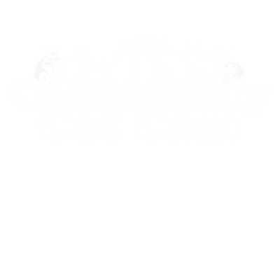 CommunityCatCam