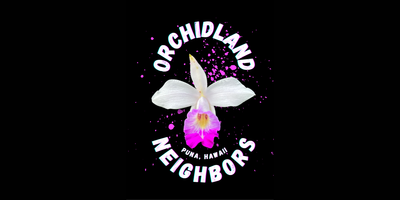 Orchidland Neighbors 