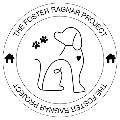 The Foster Ragnar Project