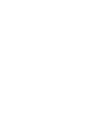 Black Reign Apparel