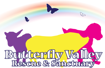 Butterfly Valley Rescue