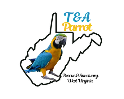 T and A Parrot Merchandise