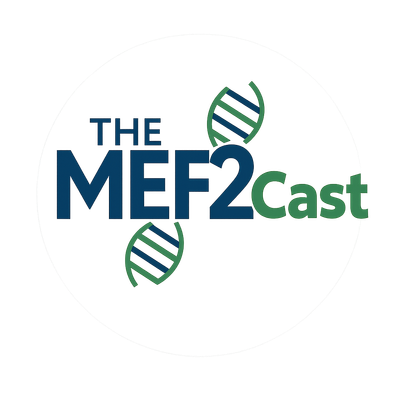 MEF2Cast