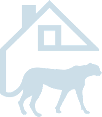 Cheetah House
