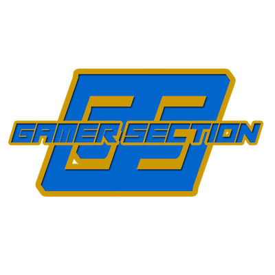 TheGamerSection
