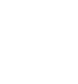 Deimiler's 1 Bit Store