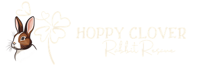 The Hoppy Clover Club