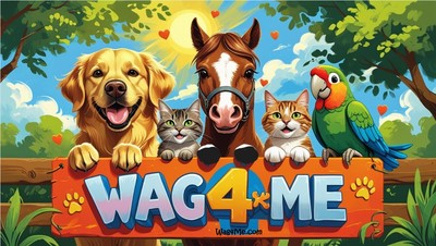 Wag4Me