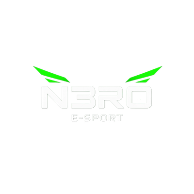 N3R0 Esport Team