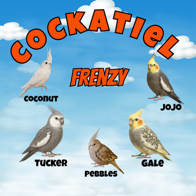 Cockatielfrenzyshop