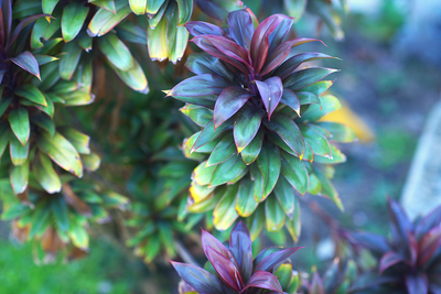 River Joy Photography