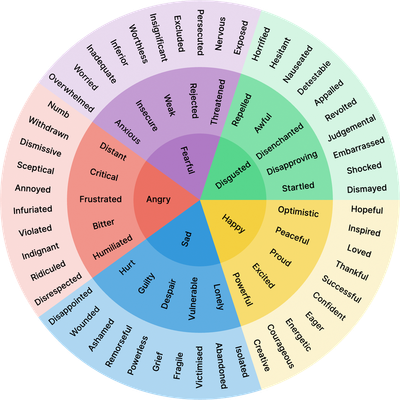 Open Emotion Wheel Store