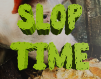 SLOPTIME