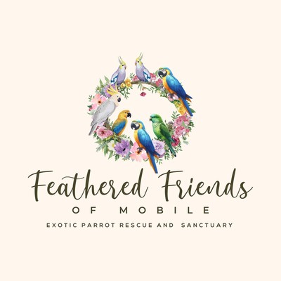 Feathered Friends Mobile