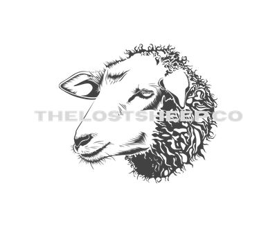 TheLostSheepCo