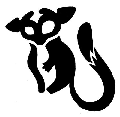 ATX Sugar Glider Rescue