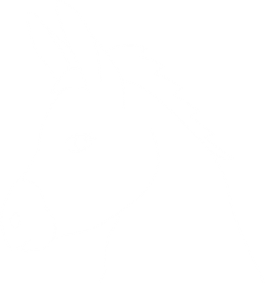 MuleMedia