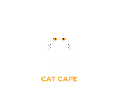 Mac Tabby Cat Cafe