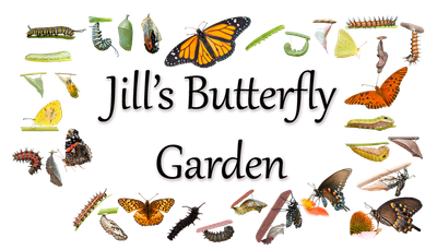 Jill's Butterfly Garden