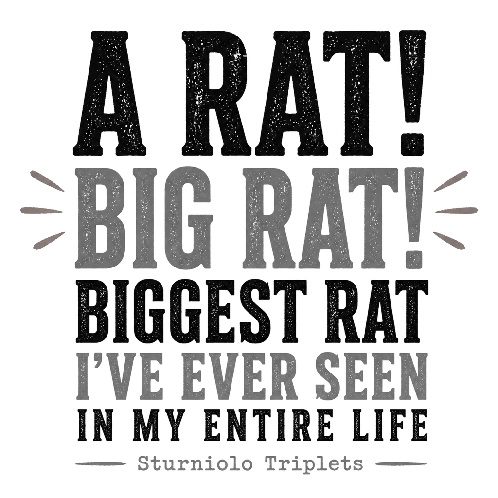 Sturniolo Triplets "A RAT! BIG RAT! BIGGEST RAT I" Poster - Official posters merchandise