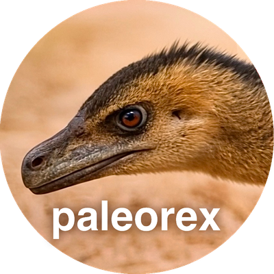 paleorex