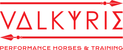ValkyriePerfHorses