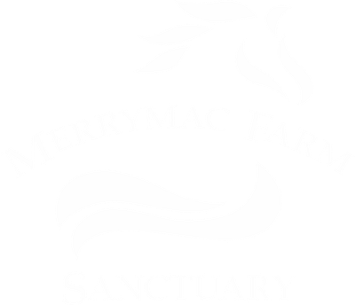Merrymac Farm Sanctuary
