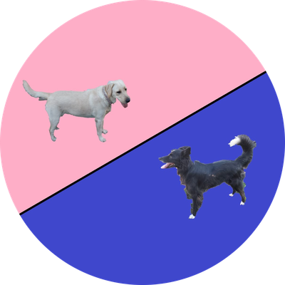 The Ellie And Cooper Shop