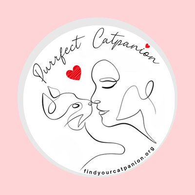 Purrfect Catpanion