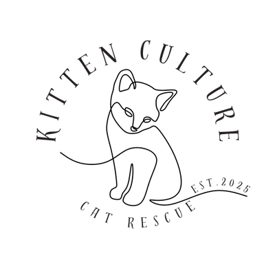 Kitten Culture