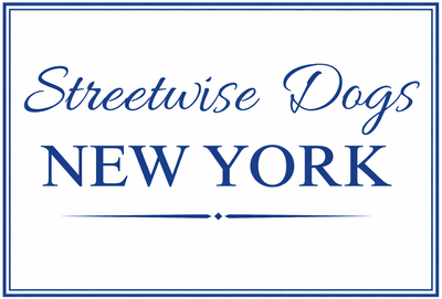 Streetwise Dogs New York