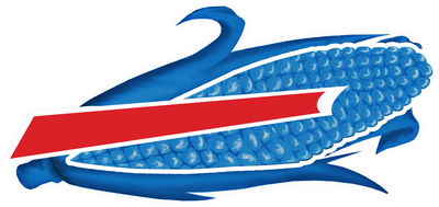 Des Moines Bills Backers