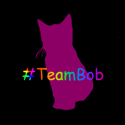 TeamBobShop