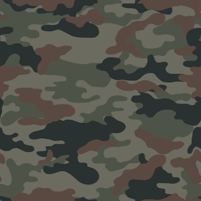 1001 CAMO