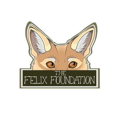FelixFoundation