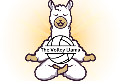 The Volley Llama