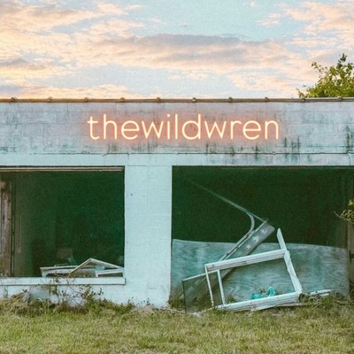 the wild wren