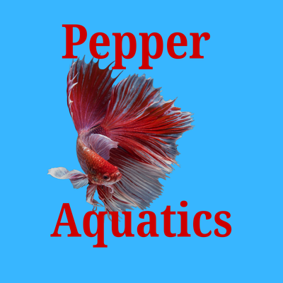 Pepper Aquatics